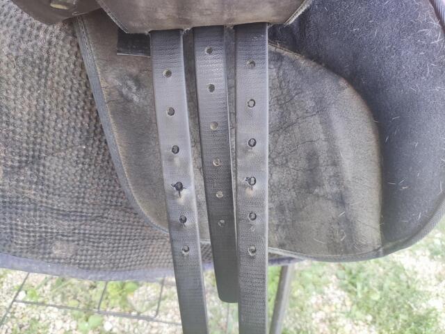 Selle wintec 250
