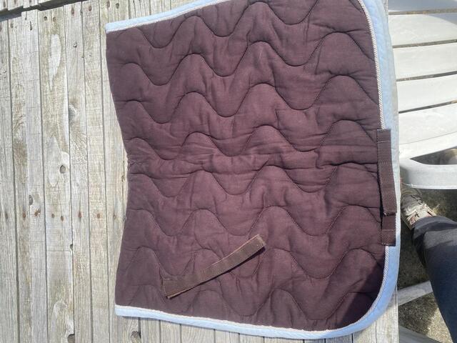 Tapis