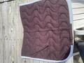 Tapis