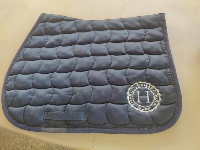 Tapis