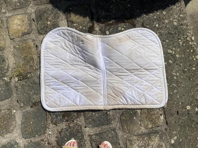 Tapis blanc bordure brillant argent