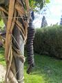 licol en cuir