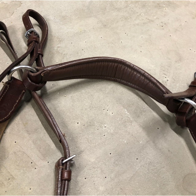 Collier de chasse cuir 5 points