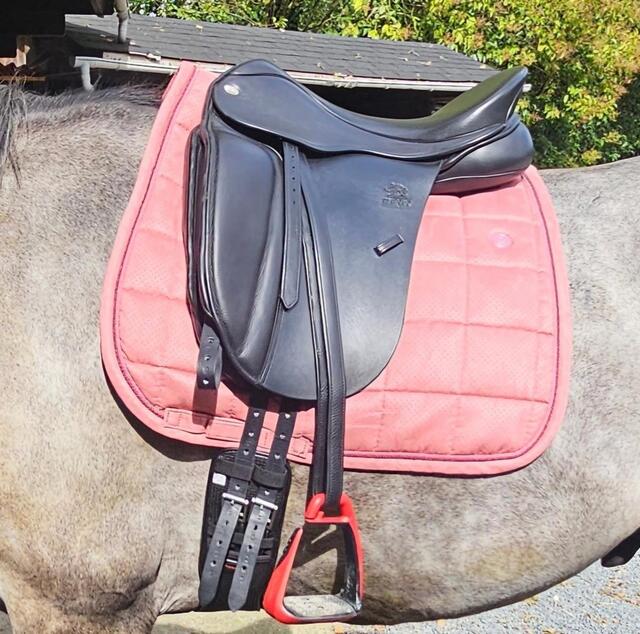Selle fairfax dressage
