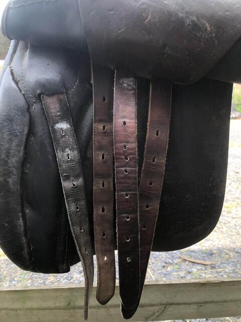 selle de dressage