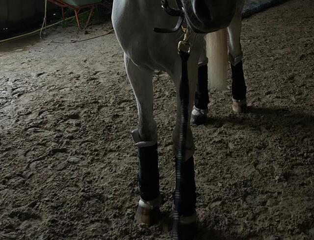 guetre de transport / repos norton