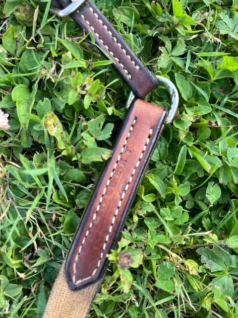 collier de chasse plat + martingale GUIBERT