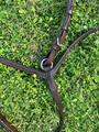 collier de chasse plat + martingale GUIBERT