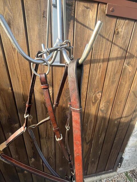 collier de chasse plat + martingale GUIBERT