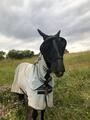 Masque anti mouche Kentucky