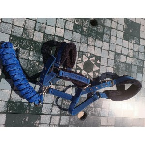 Licol Fouganza bleu roi