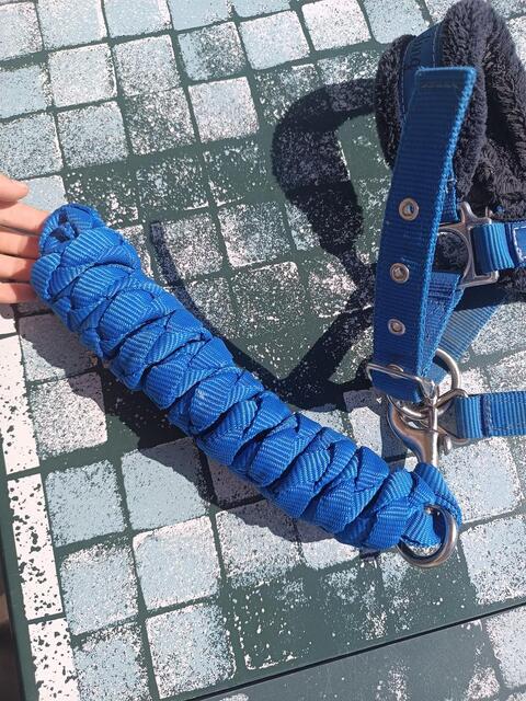 Licol Fouganza bleu roi