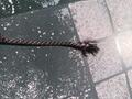 Stick Waldhausen noir