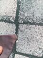 Bonnet gris