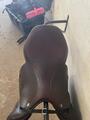 SELLE EQUIPE 16/K Brown arcade 22 matelassures ar+1 liseré tour de siège New market taquets av 1 ar 2
