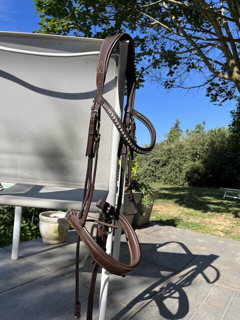 Filet norton + frontal Hekktor Leather + rênes (tout en taille Full)