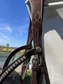 Filet norton + frontal Hekktor Leather + rênes (tout en taille Full)