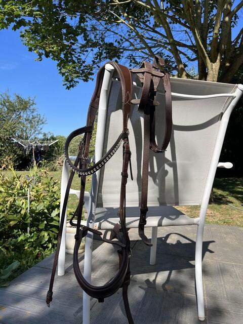 Filet norton + frontal Hekktor Leather + rênes (tout en taille Full)