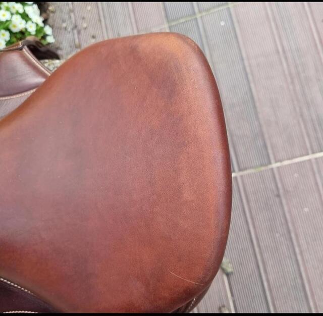 Selle cross antares