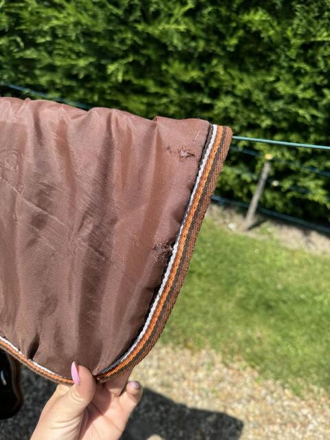 couverture tattini