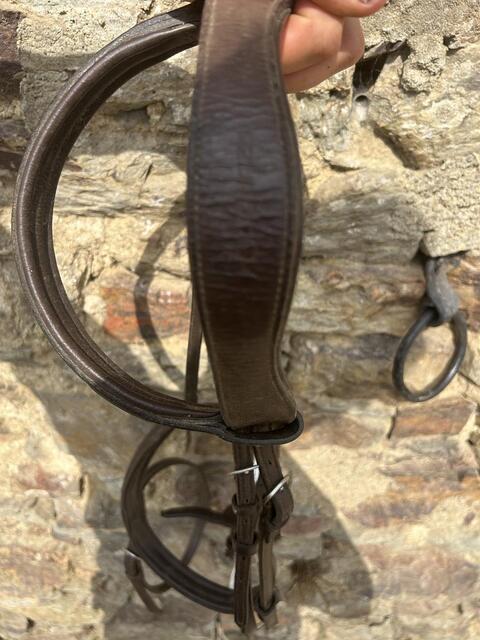 Bridon fouganza cob