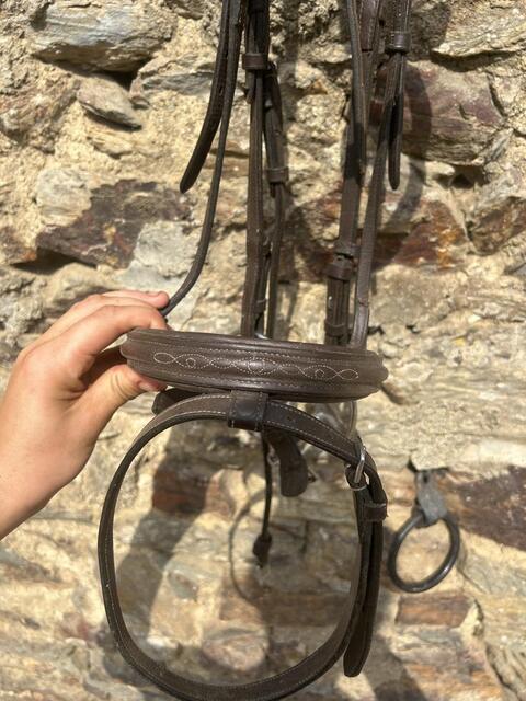 Bridon fouganza cob