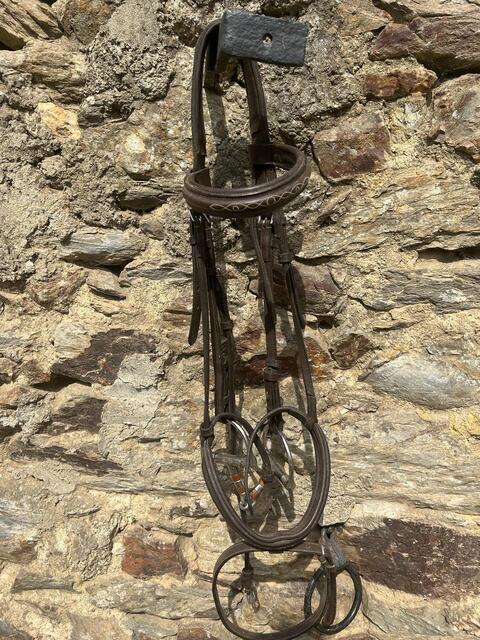 Bridon fouganza cob