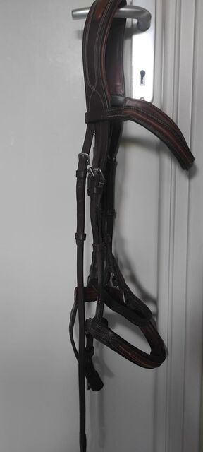Bridon Fouganza en cuir marron
