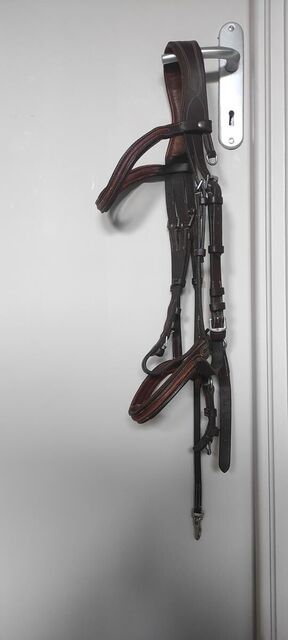 Bridon Fouganza en cuir marron