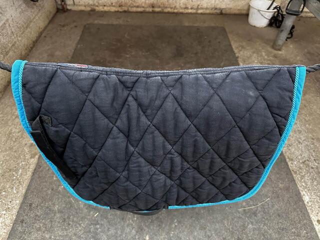 tapis dressage