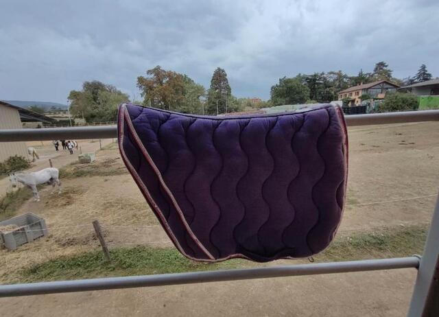 Tapis Equitheme