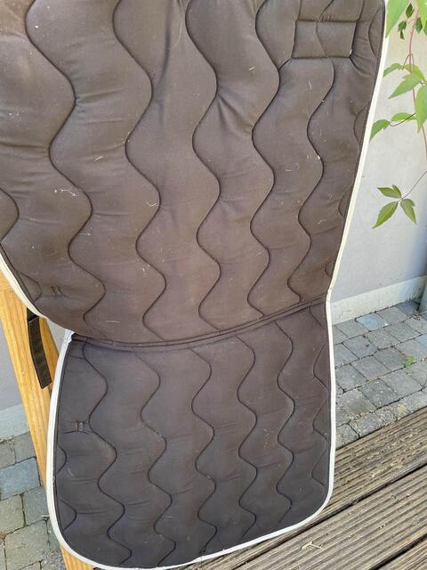 Cavallo dressage full