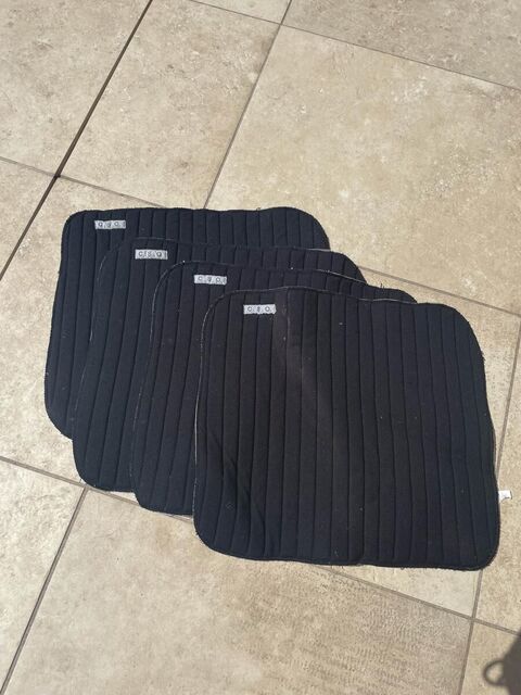 Coton CSO taille cheval
