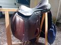 Selle prestige cross