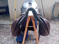 Selle prestige cross