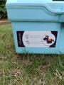 Boite de pansage Fouganza bleue
