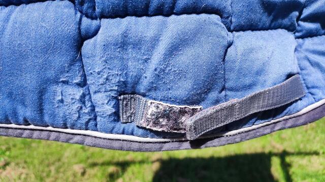 Tapis bleu taille poney Fouganza