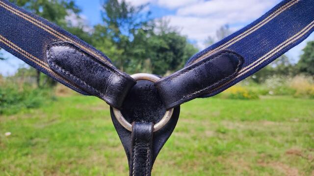 Collier de chasse HFI Master taille poney
