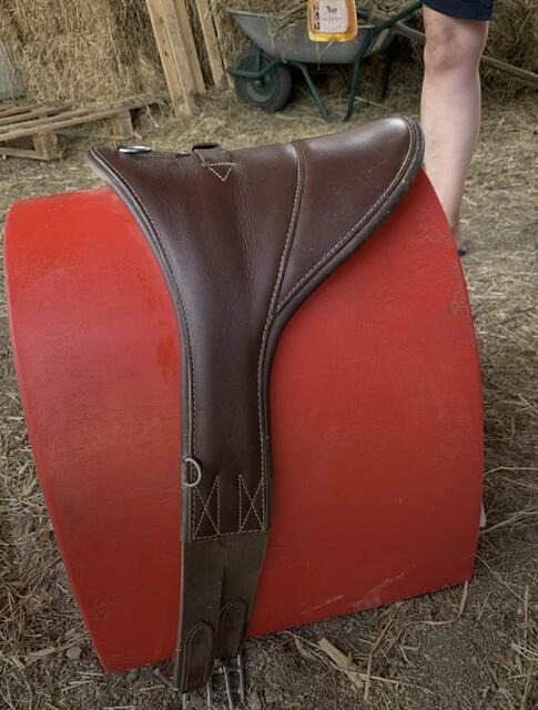 Bavette poney