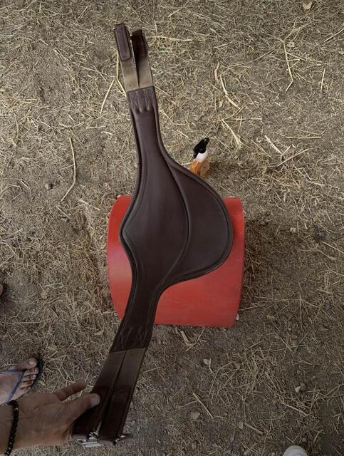Bavette poney