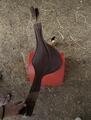 Bavette poney