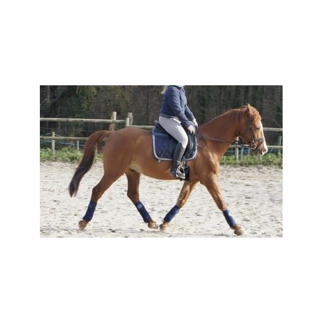 Ensemble bandes et tapis