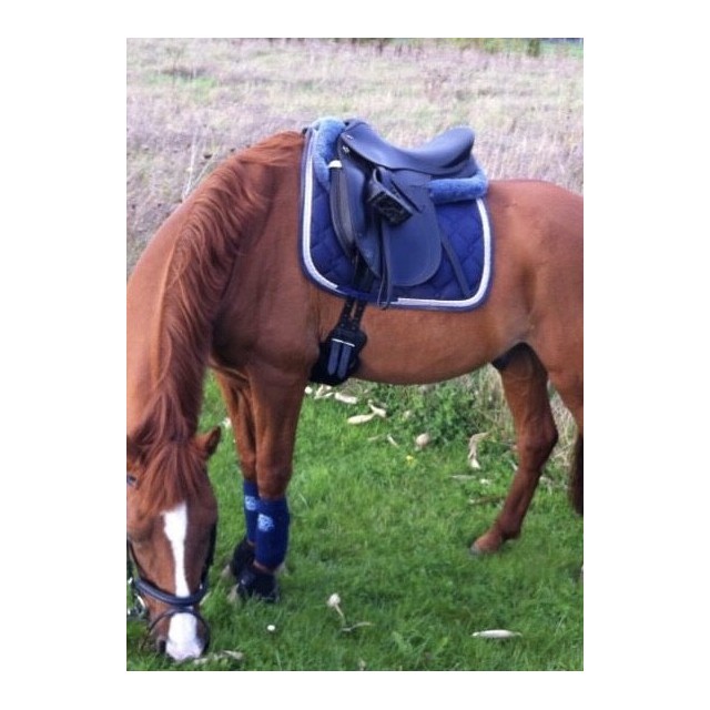 Ensemble bandes et tapis