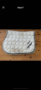 Tapis antares