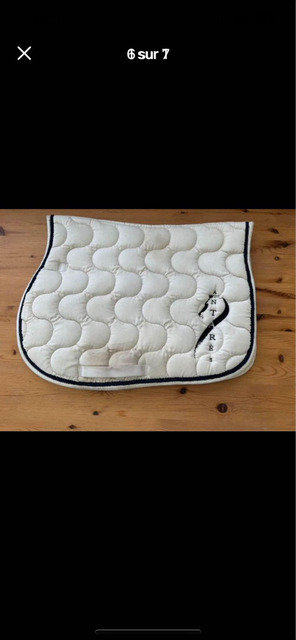 Tapis antares