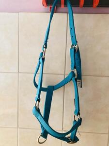 licol bleu fouganza