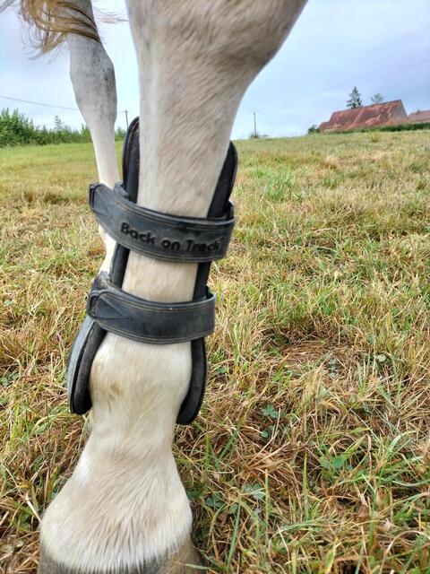 Protection de saut