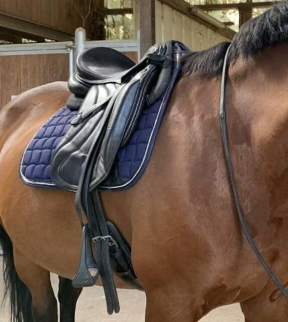 Selle de dressage Éric Thomas