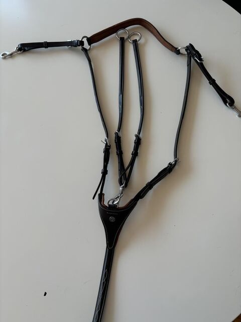 Collier de chasse