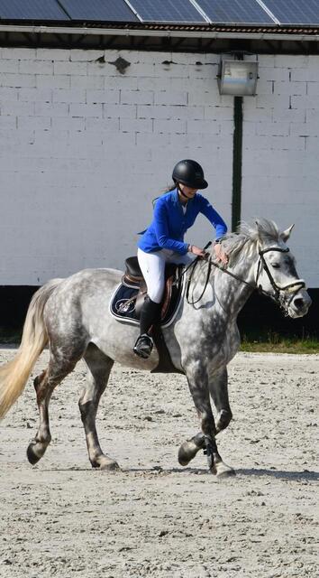 Veste de concours